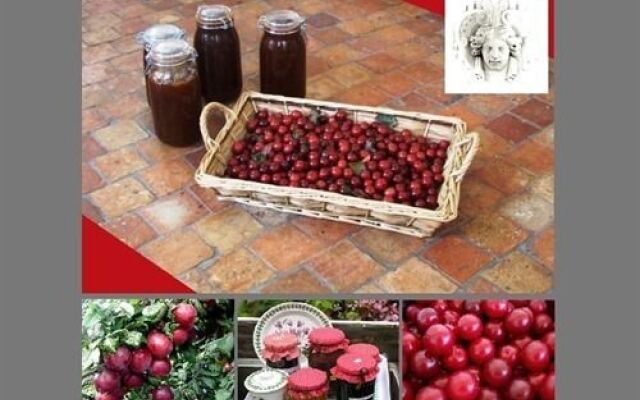 Château de Beaulieu