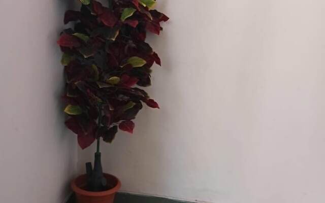 Living At Home