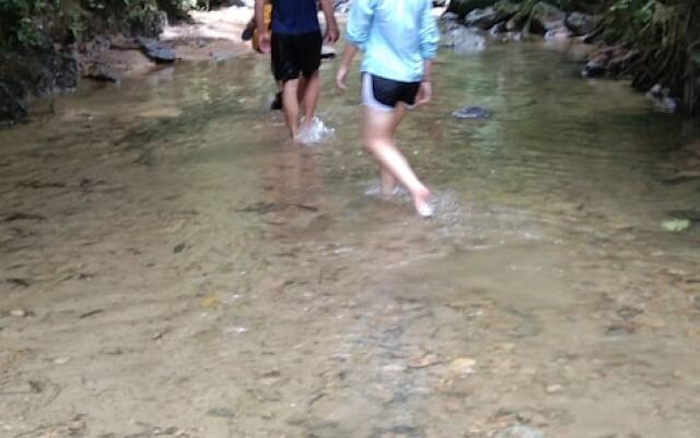 Green Forest Tangkahan