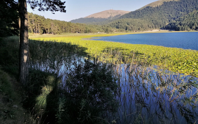 Bolu Grand Koroglu Otel