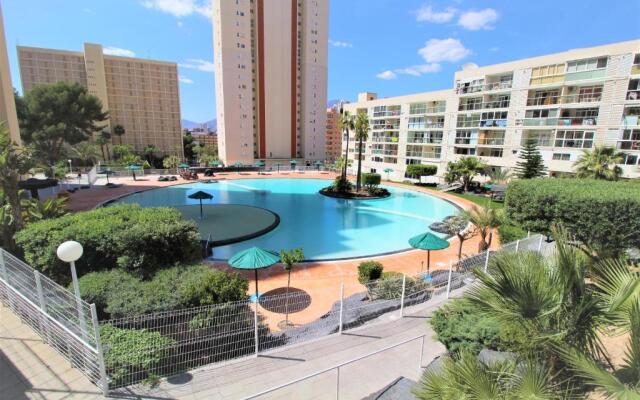 Atico Levante Torre Montecarlo