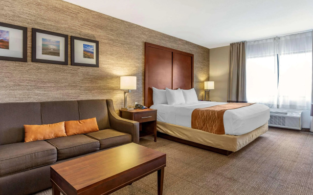 Comfort Inn Ludington near US-10