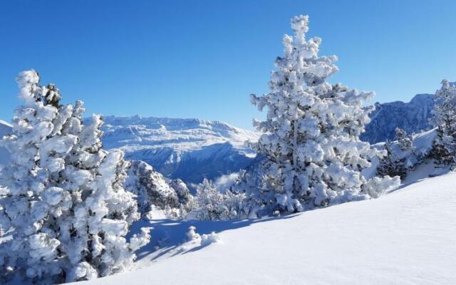 Studio au pieds des pistes