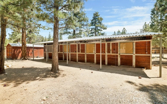 ONE Hundred Pines Ranch #2005