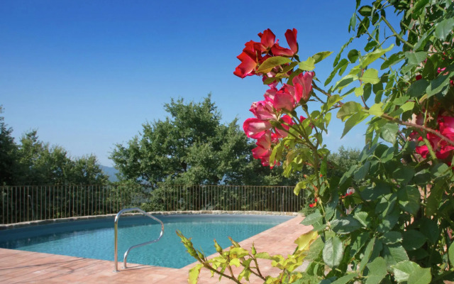 Villa in Arezzo With Pool and Vineyards