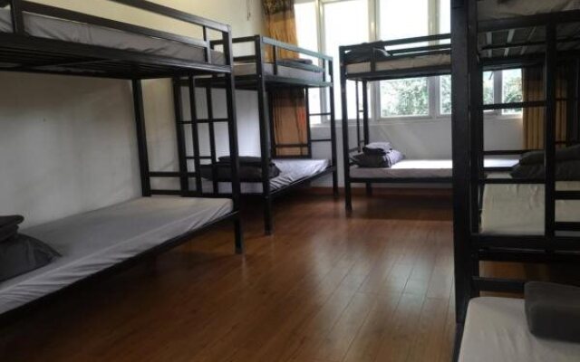 Meow Hostel