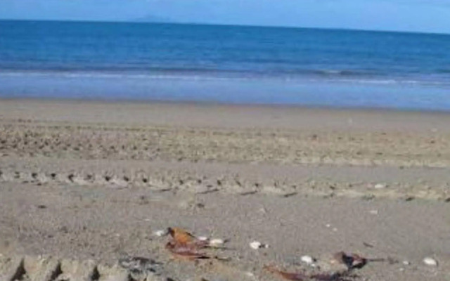 La Solana Holiday Units MACKAY