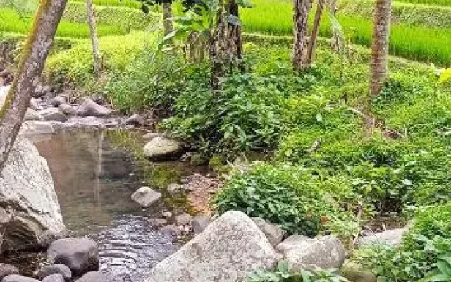 Ranggon d'tukad