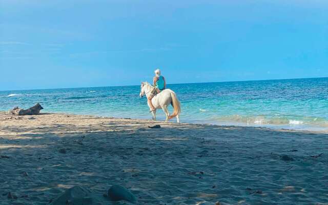 Hotel Aguas Claras Member of the Cayuga Collection