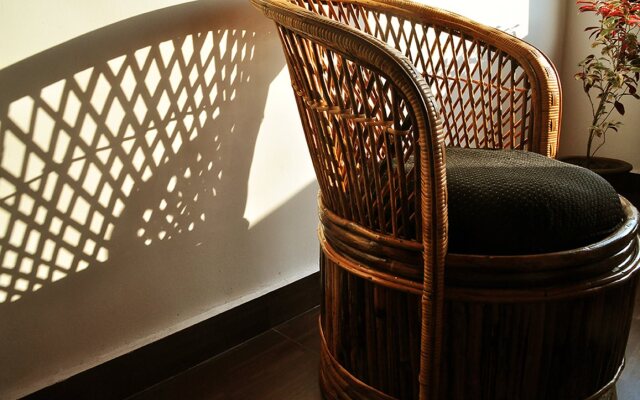 Hotel Love and Light