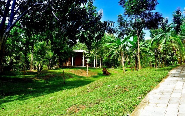 Safari Queens Resort