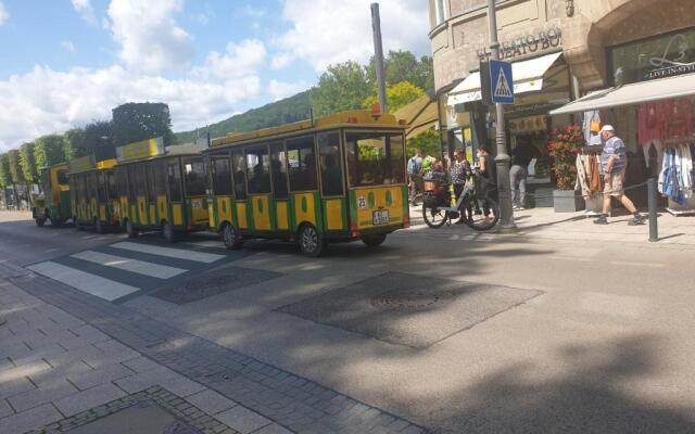 Ferienwohnung BERG VIEW BAD KISSINGEN Apartment mit 3 Schlafzimmern