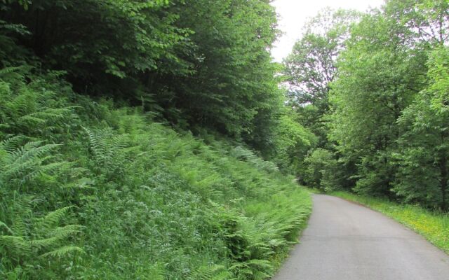 Ferienwohnung in Schiltach