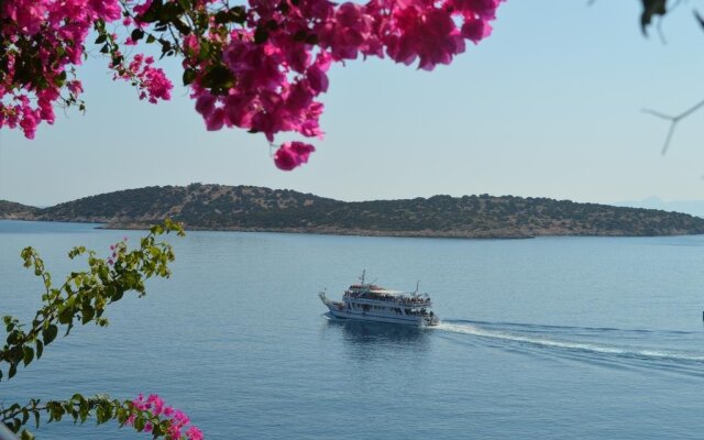 Angeliki's Apartments