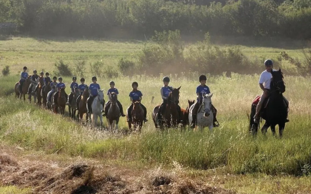 Awesome Home in Barban With 1 Bedrooms