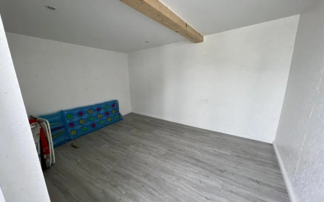 Hagelstein IV "Feuerstein"