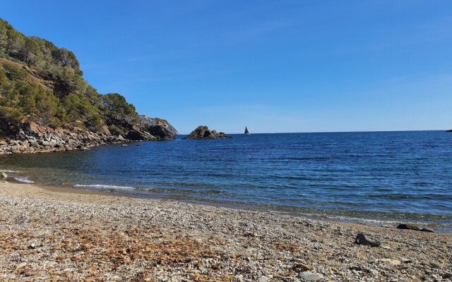 Palmeras 2.10