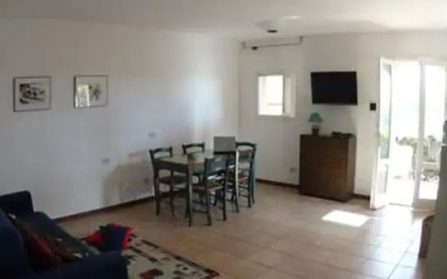 Sun Paradise Apartment