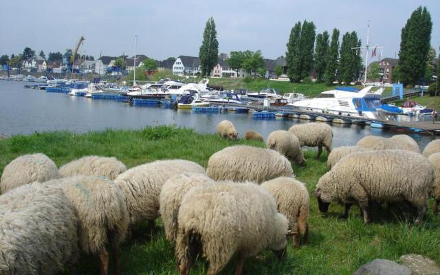 RheinRiver Guesthouse - Direkt am Rhein