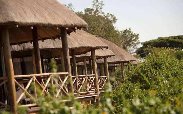 Jambo Impala Ecolodge