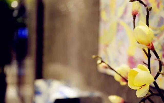 Home Inn Subai Cloud (Beijing Qianmen Branch)