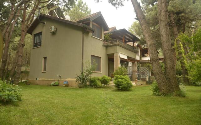 Miro Villa