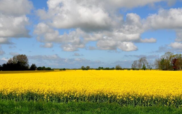 Aparthotel Museumshof