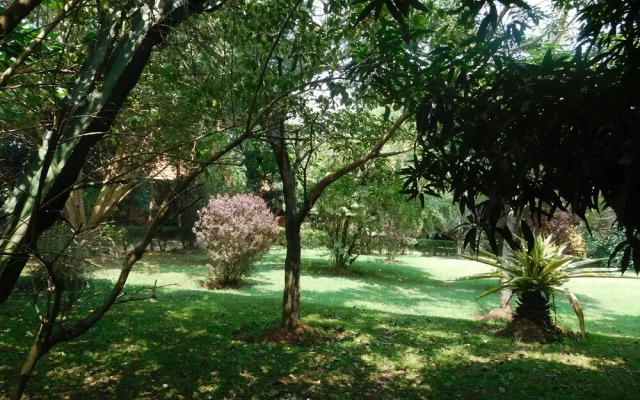 Soho Greens Apartment 2