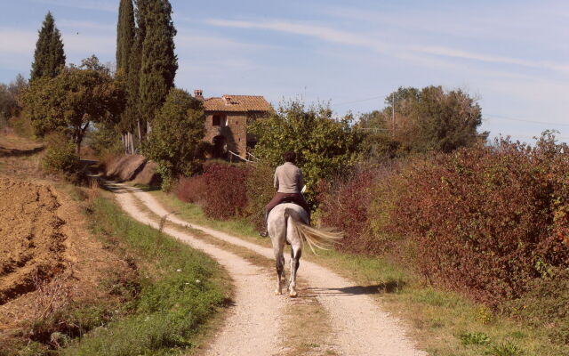 Podere Pievina Delle Corti