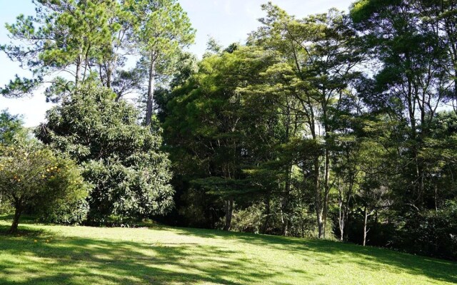 McCarthy Grove