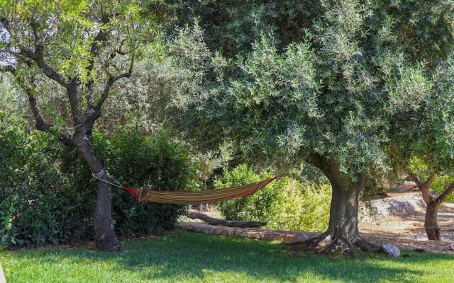 TD Trulli Della Magnolia Trulli w Amazing Garden