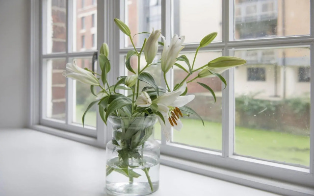 Chocolets - The Foss Suite