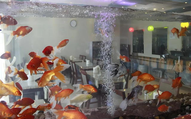 Green Tree Inn Wuhu Jiangbei Shen'gang