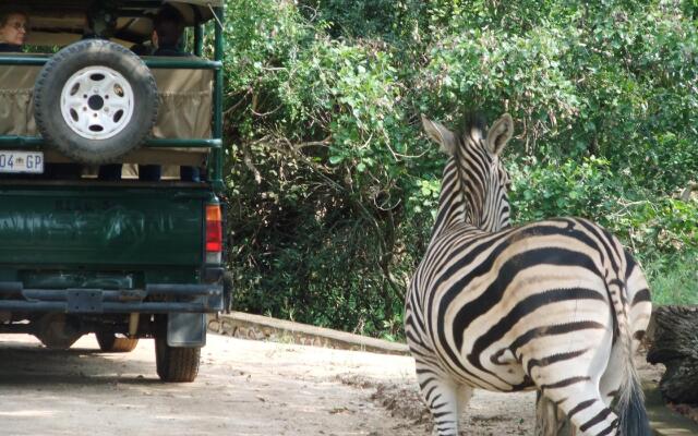 Hoedspruit Endangered Species Centre Accommodation