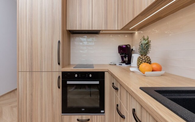 Family Apartment Sucha by Renters