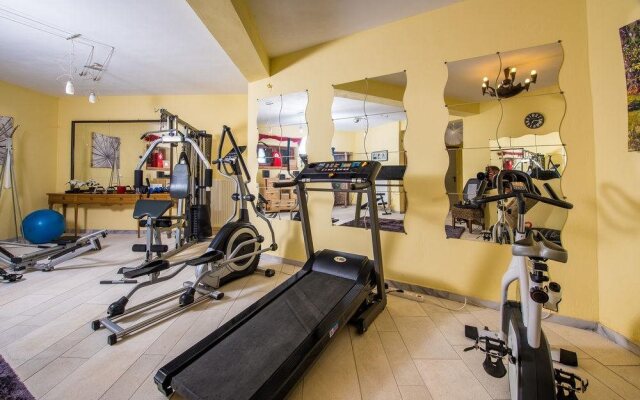 ViP Chalet Livadi Arachova