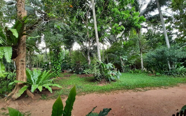 Nature's Hideout Holiday Home