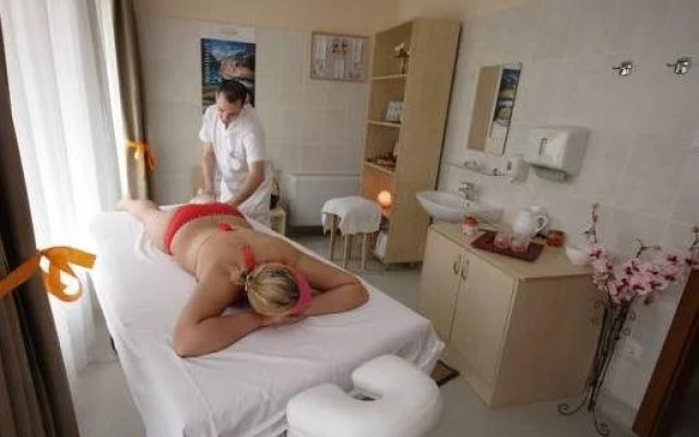 Panorama Wellness Apartman Hotel