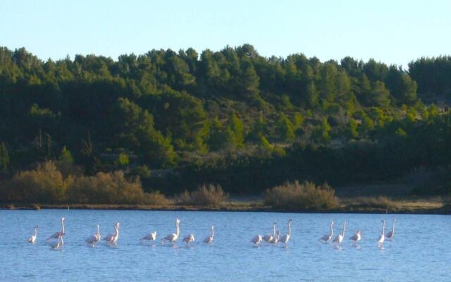 House La France -The Terrace Apartment