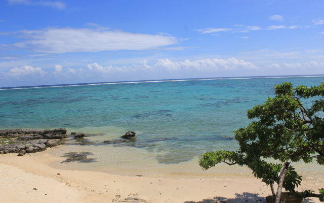 The View Fiji