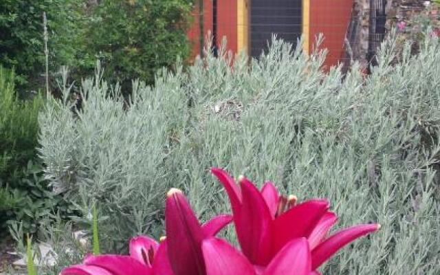 la casetta della nonna