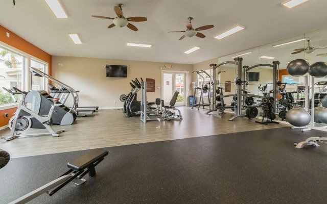 The Modern Tempe Suite And Pool And Gym