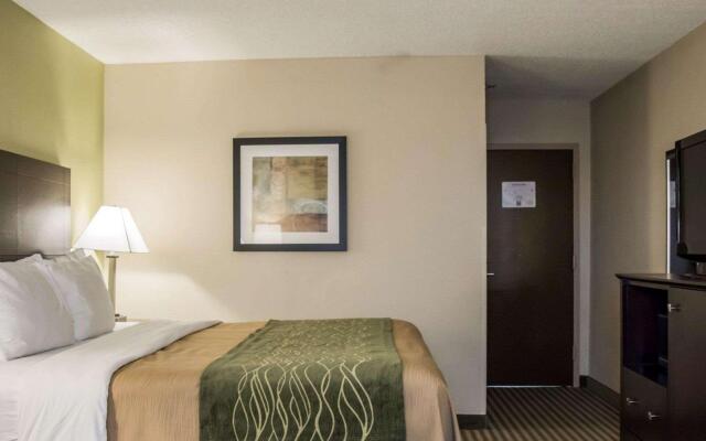 Comfort Inn & Suites St. Pete - Clearwater International Airport