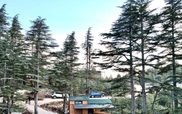 Cedrus Life Bungalow Tesisleri