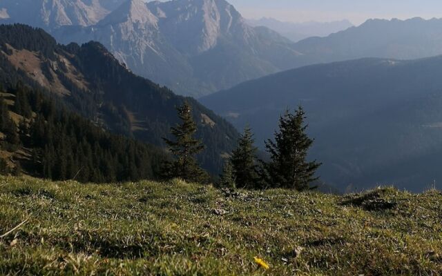 Gasthof Fallmuhle