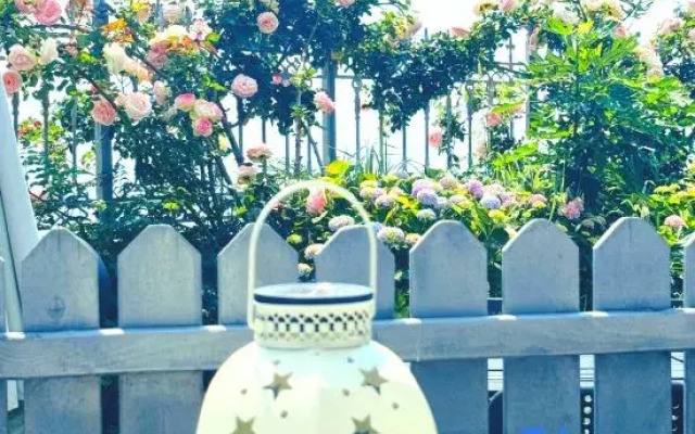 Proudhouse oceanperch