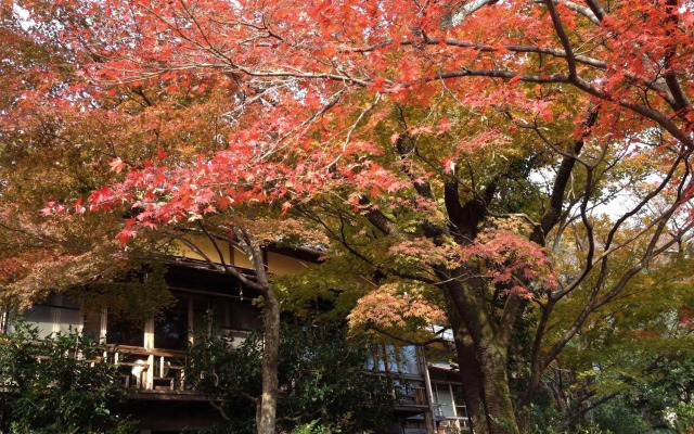 Cultural Property of Japan Senzairo