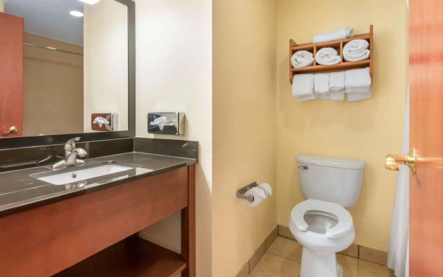 Clarion Hotel & Suites University - Shippensburg