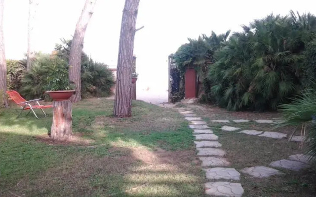 La Palafitta Del Pescatore