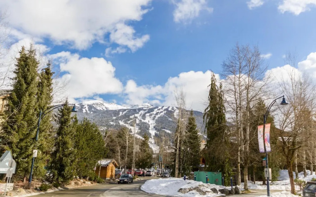 Fabulous Location Private Hot Tub, NO Car Needed, Sleeps 8